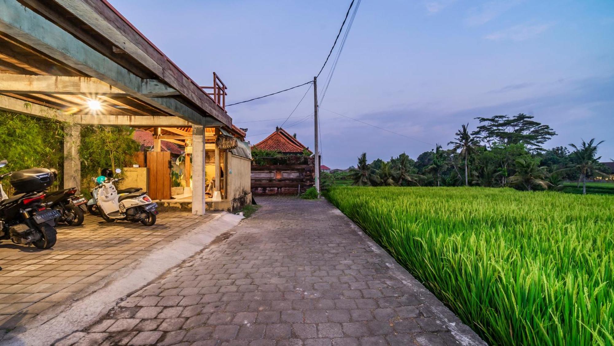 Bed and Breakfast Jegeg Mas Ubud Zewnętrze zdjęcie