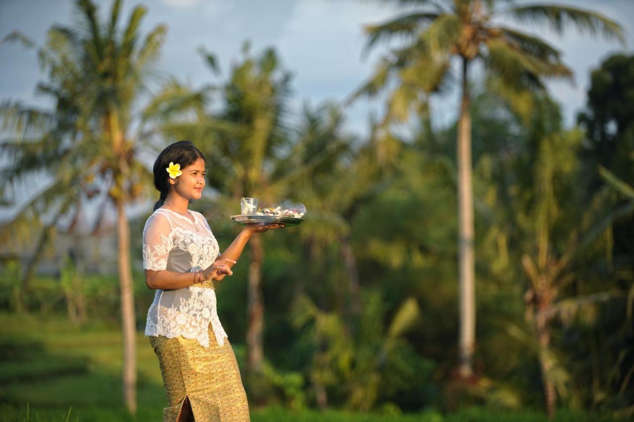 Bed and Breakfast Jegeg Mas Ubud Zewnętrze zdjęcie